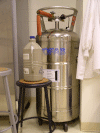N2 dewar.gif (81368 bytes)